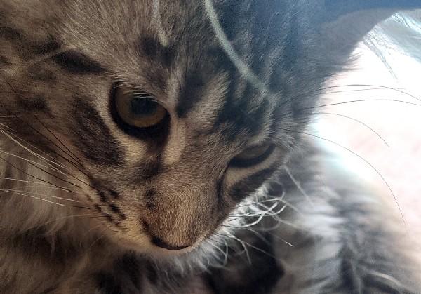 奈良京都朱印巡礼