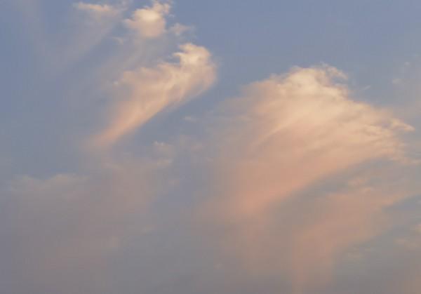 京都美食&咖啡&面包