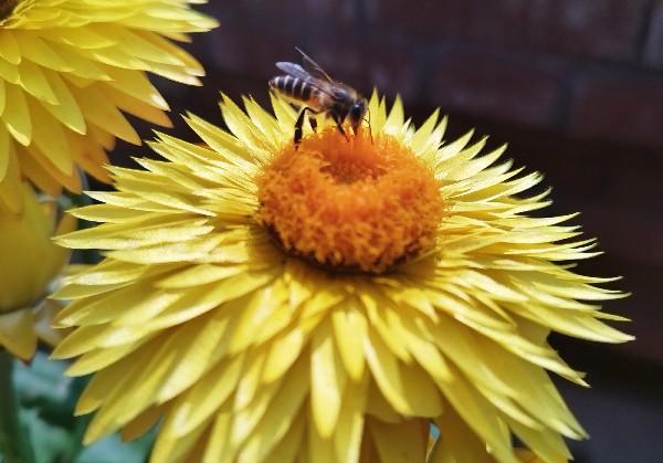 昆明出发，弥勒，蒙自，元阳，建水环线