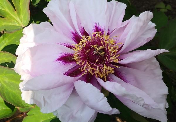 临汾市及周边县市