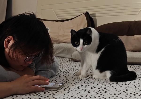 2个人的漳州长肉之行