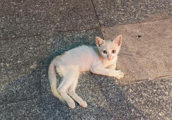 铜仁