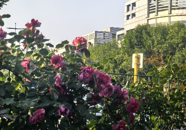 辽宁朝阳