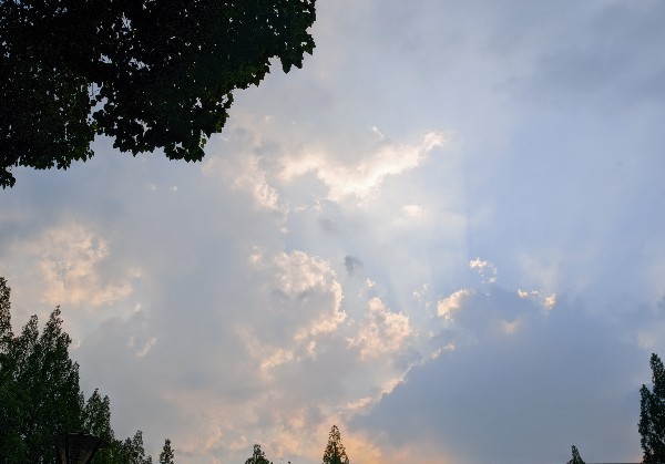 岳阳