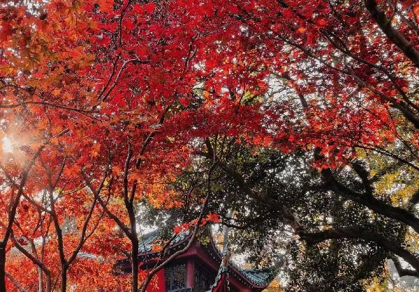 三亚旅游
