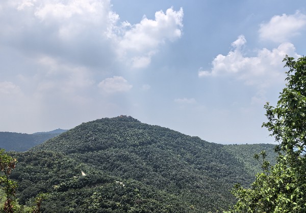 岳西自驾️