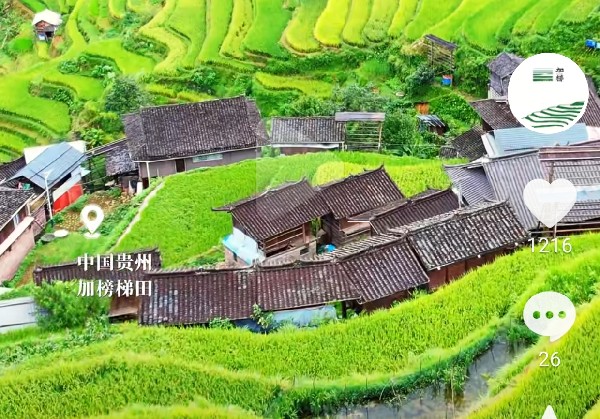 凯里