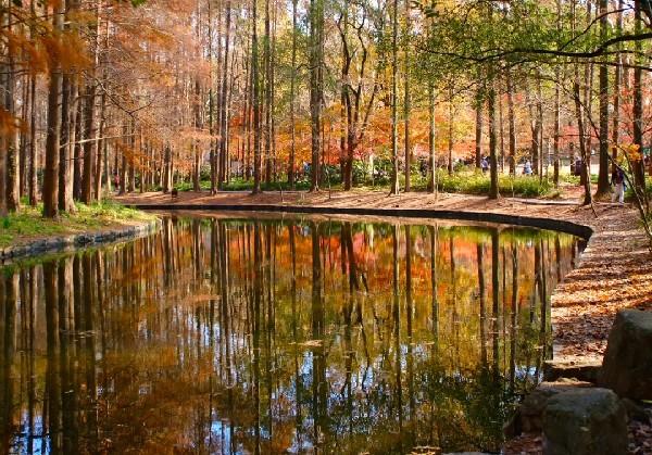 广西崇左景点美食