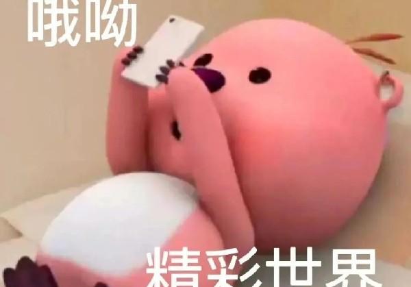 乐山两天一夜