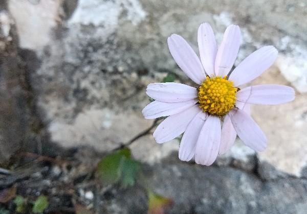 景德镇