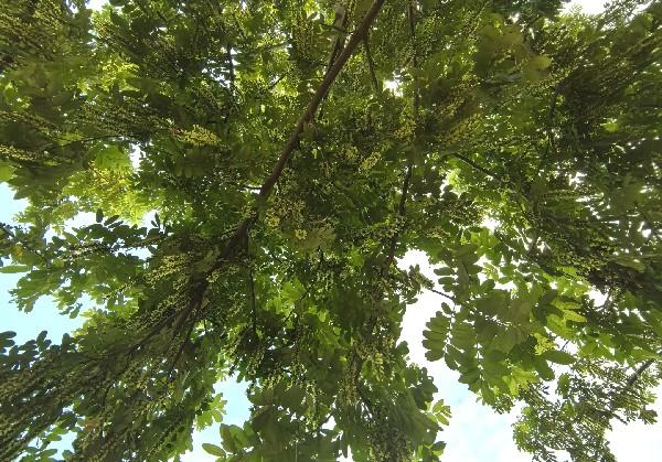 小闪同学青甘线非打卡随心游