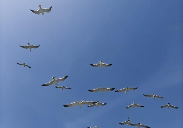 蒙自、弥勒地图