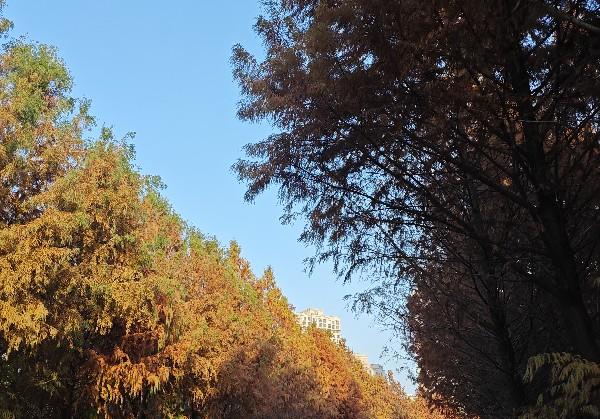 江西南昌+景德镇