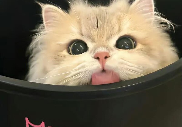 襄阳藏宝图