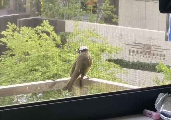 芜湖
