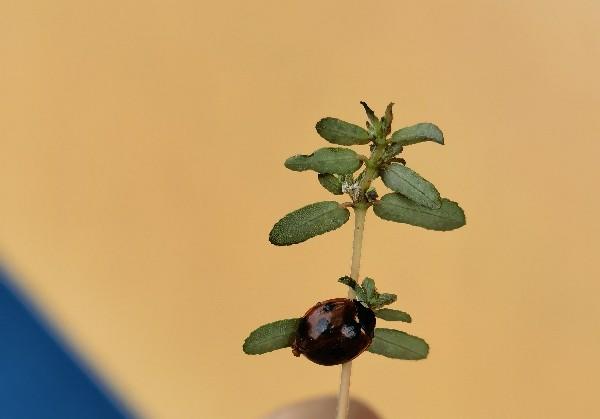 国庆去宣城遇见李白