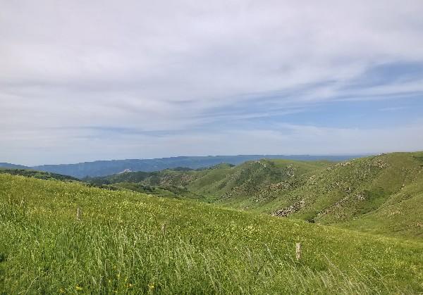 邯郸