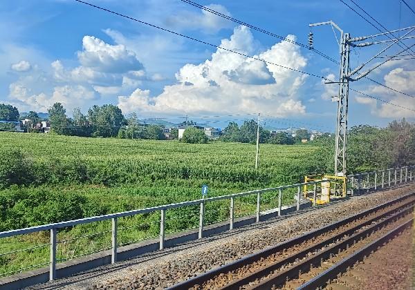 南阳老吃家，自己吃不知道多少次