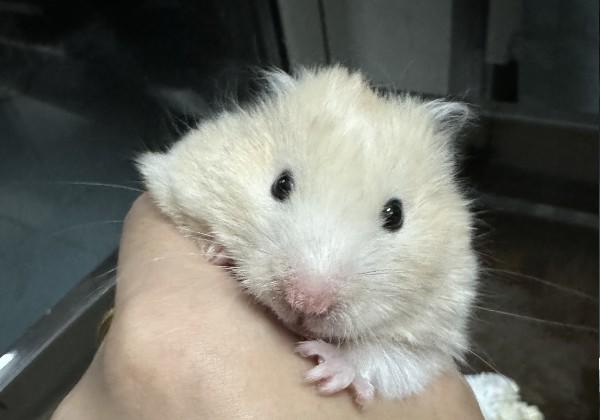 王emo的威海旅行