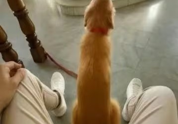 池州游玩