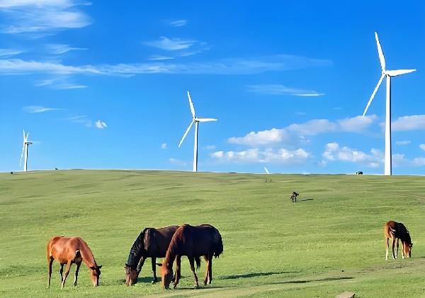 新之助的乌兰察布