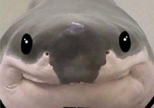 克拉玛依