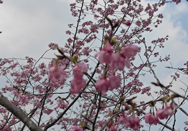 芜湖