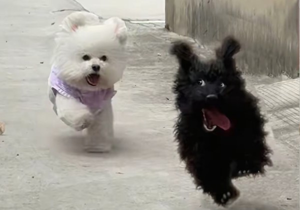 香港旅行