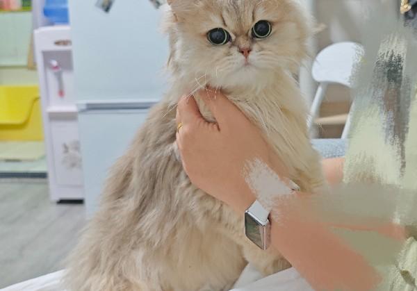 普宁&揭阳