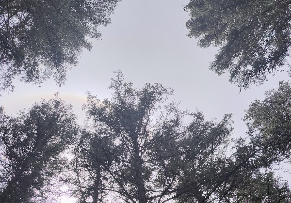 我的游玩路线