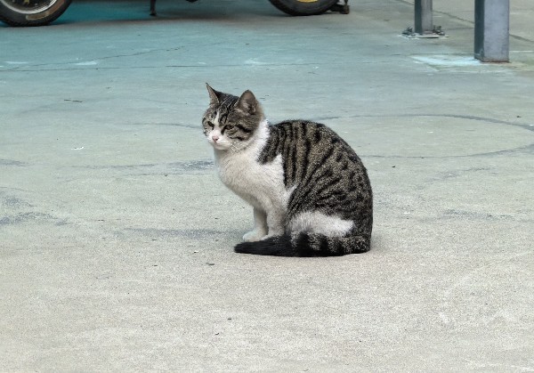 平遥
