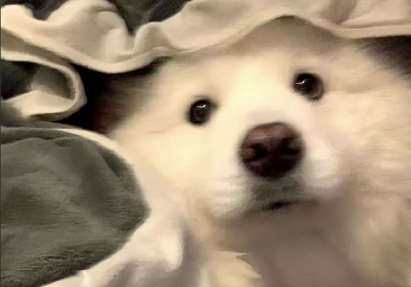 阜阳