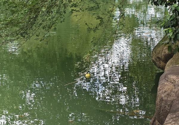 永康