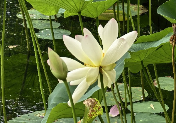 天津