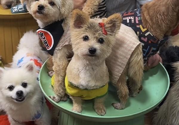 【已完成】定远（2刷）