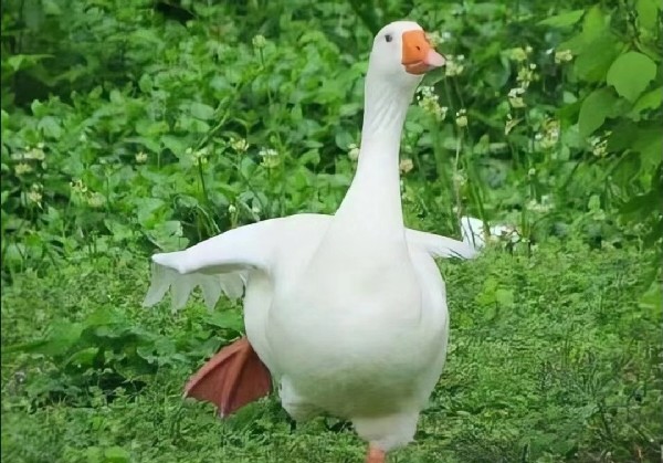 常熟