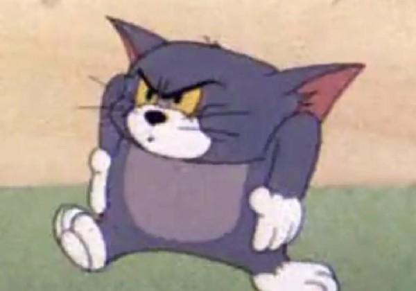 稻亚四姑娘山鱼子西墨石公园5日游