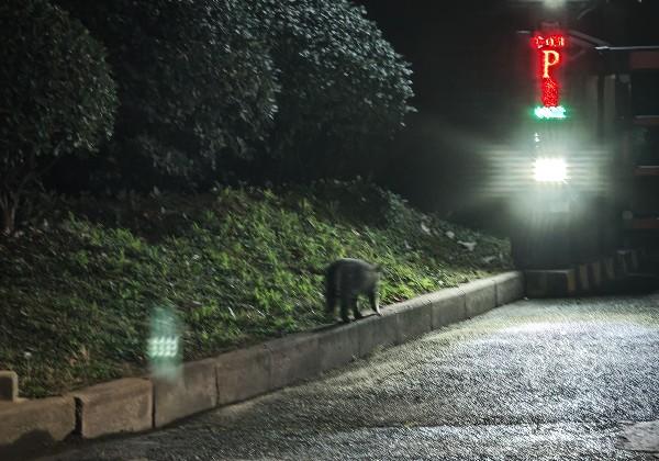 海拉尔-满归-漠河（未完成）