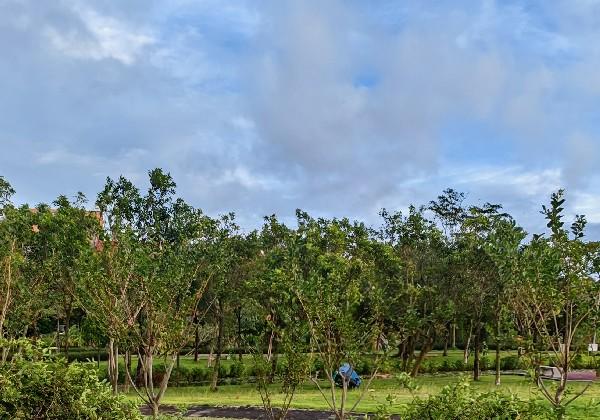 弥勒-太阳肠和臭屁橙