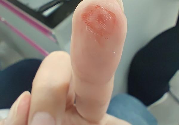 大连（被鸽ver.）