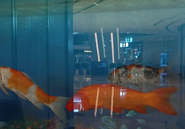 深圳