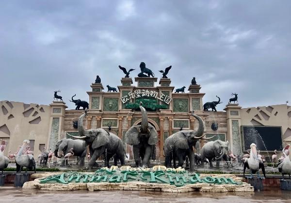 十一德州、齐河