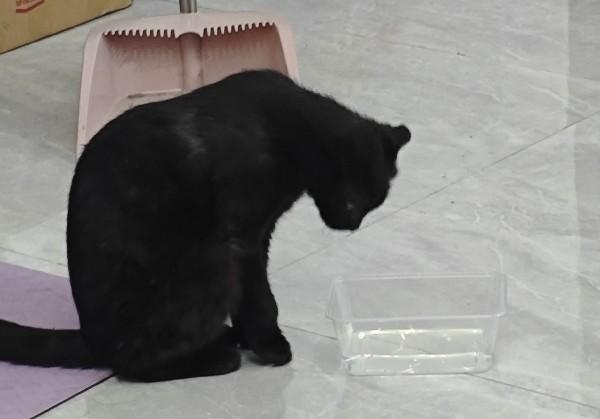 西双版纳