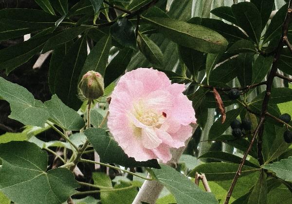 宜春2025.12月7日3人行