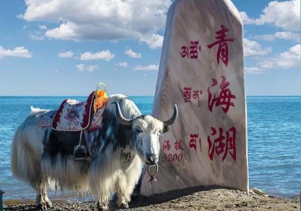 青海/西宁、张掖地图