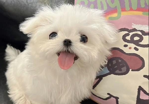 北海逛吃逛吃