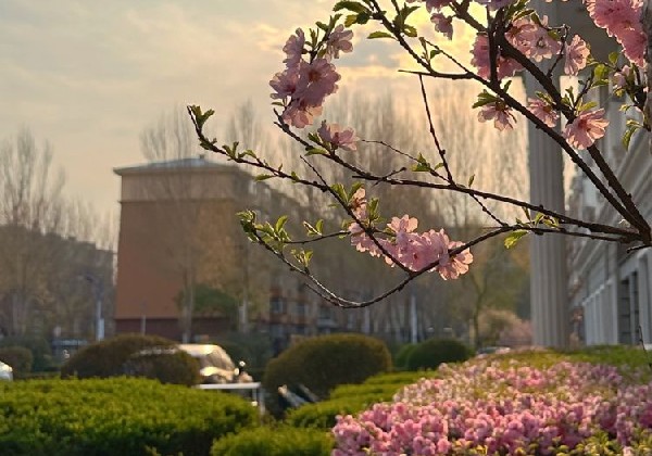 伊春