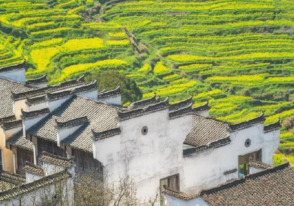 婺源+景德镇