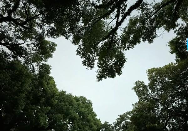 溧阳