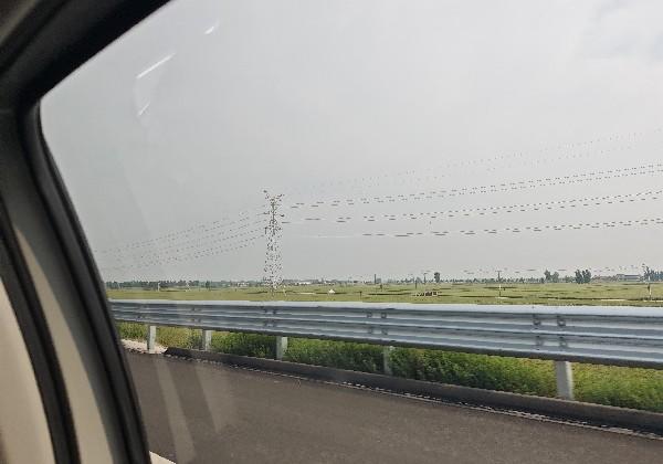延津